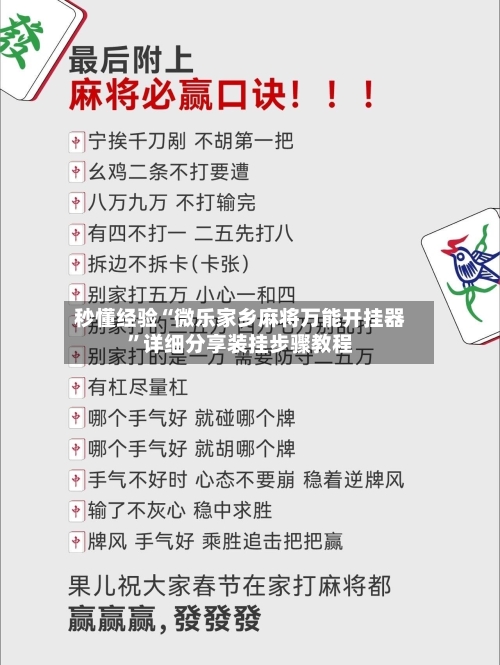 秒懂经验“微乐家乡麻将万能开挂器”详细分享装挂步骤教程-第3张图片