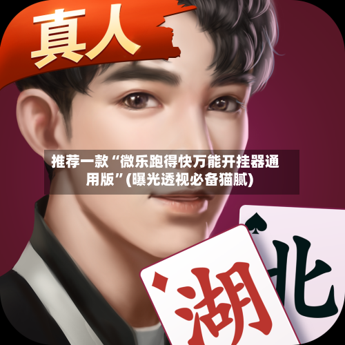 推荐一款“微乐跑得快万能开挂器通用版”(曝光透视必备猫腻)-第2张图片