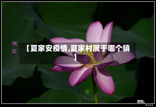 【夏家安疫情,夏家村属于哪个镇】