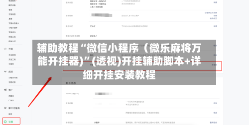 辅助教程“微信小程序（微乐麻将万能开挂器)”(透视)开挂辅助脚本+详细开挂安装教程-第2张图片