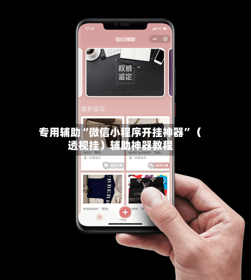 专用辅助“微信小程序开挂神器”（透视挂）辅助神器教程