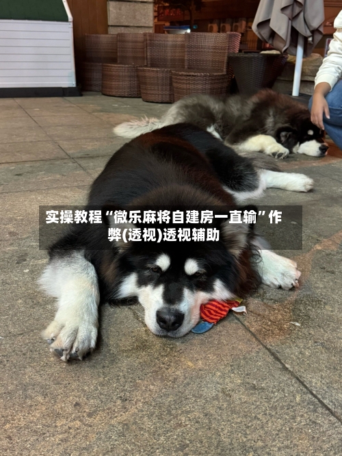 实操教程“微乐麻将自建房一直输	”作弊(透视)透视辅助-第2张图片