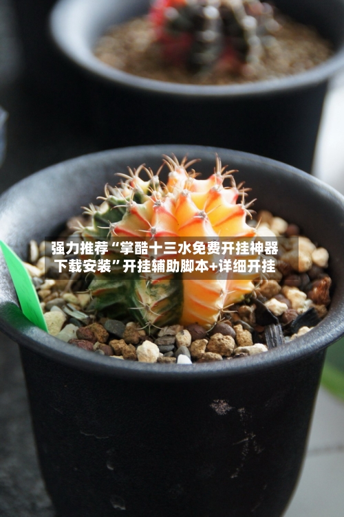 强力推荐“掌酷十三水免费开挂神器下载安装	”开挂辅助脚本+详细开挂-第2张图片