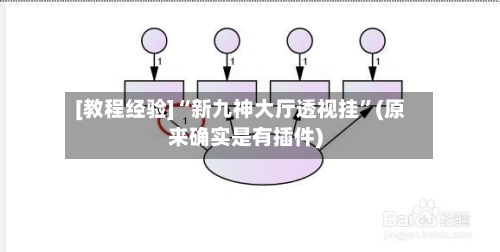 [教程经验]“新九神大厅透视挂”(原来确实是有插件)