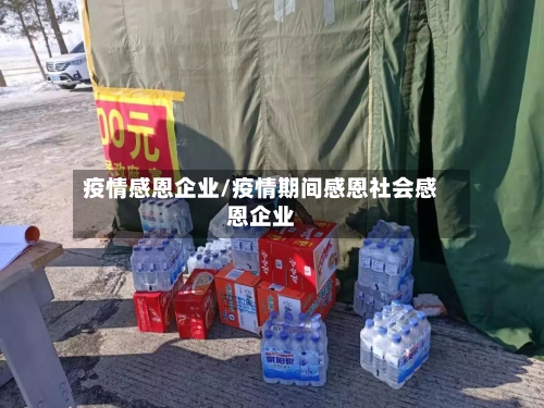 疫情感恩企业/疫情期间感恩社会感恩企业-第2张图片