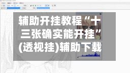辅助开挂教程“十三张确实能开挂”(透视挂)辅助下载教程