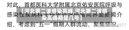 【河北第二波感染高峰,河北第二波感染高峰期是几号】-第2张图片