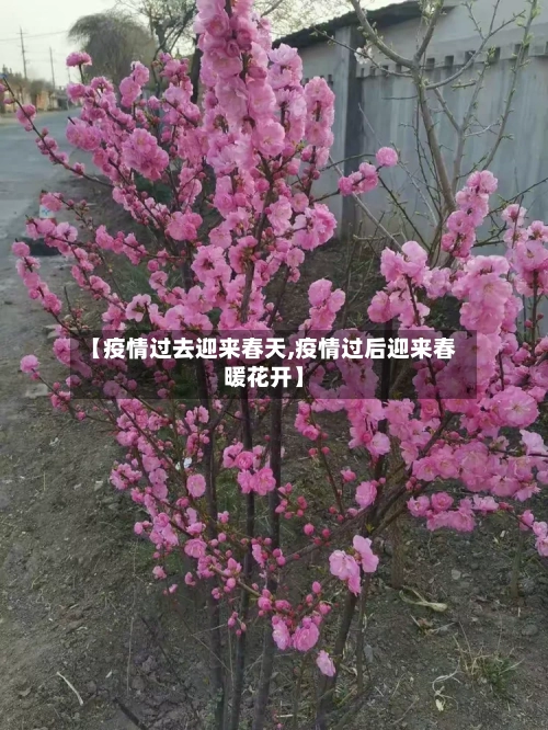 【疫情过去迎来春天,疫情过后迎来春暖花开】