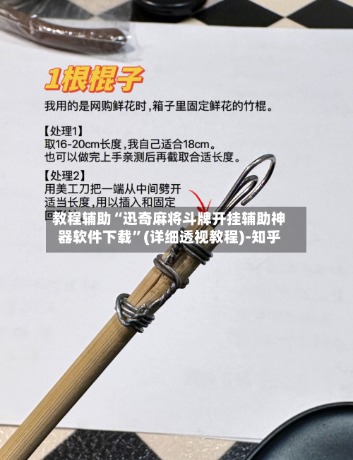 教程辅助“迅奇麻将斗牌开挂辅助神器软件下载”(详细透视教程)-知乎-第2张图片