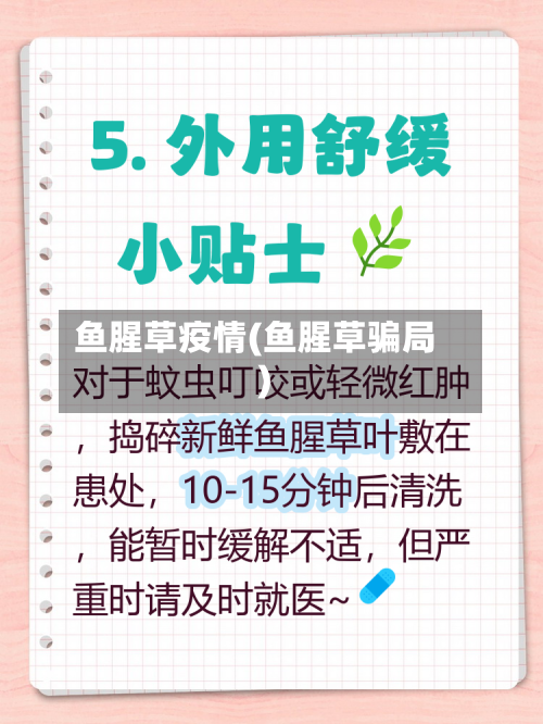 鱼腥草疫情(鱼腥草骗局)-第2张图片