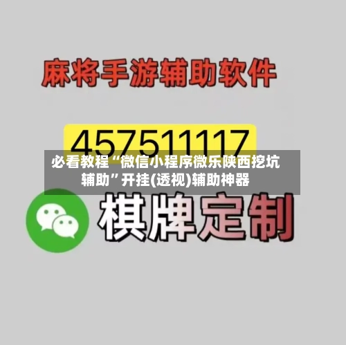 必看教程“微信小程序微乐陕西挖坑辅助”开挂(透视)辅助神器