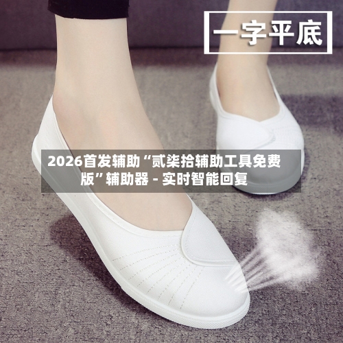 2026首发辅助“贰柒拾辅助工具免费版”辅助器 - 实时智能回复