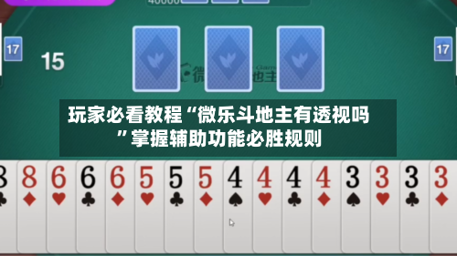 玩家必看教程“微乐斗地主有透视吗”掌握辅助功能必胜规则