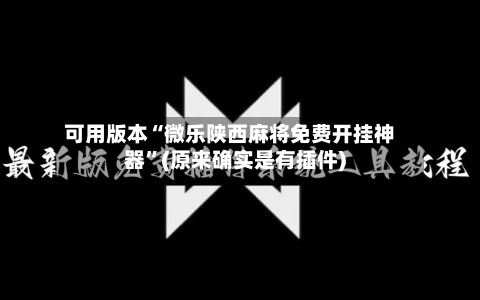 可用版本“微乐陕西麻将免费开挂神器”(原来确实是有插件)-第2张图片