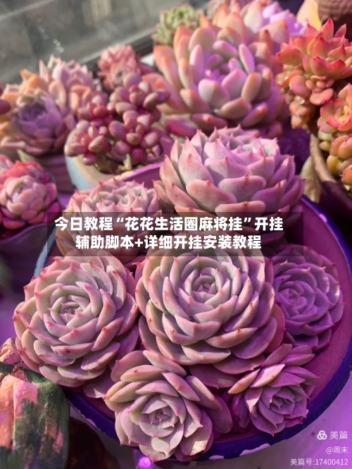 今日教程“花花生活圈麻将挂”开挂辅助脚本+详细开挂安装教程
