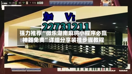 强力推荐“微乐湖南麻将小程序必赢神器免费	”详细分享装挂步骤教程-第2张图片