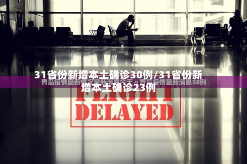 31省份新增本土确诊30例/31省份新增本土确诊23例-第2张图片