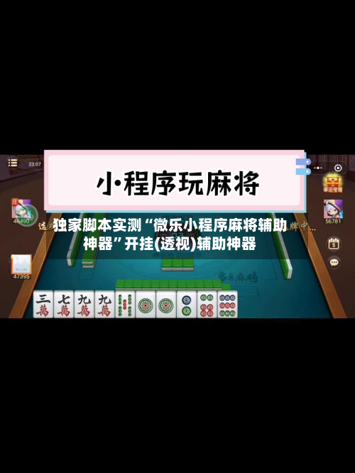 独家脚本实测“微乐小程序麻将辅助神器”开挂(透视)辅助神器-第3张图片