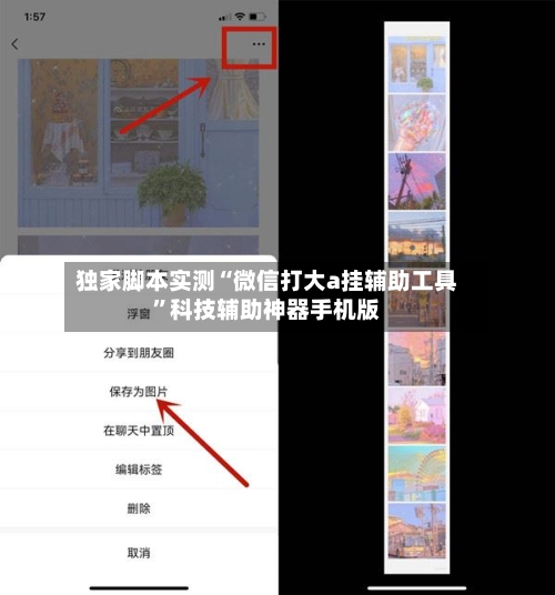 独家脚本实测“微信打大a挂辅助工具	”科技辅助神器手机版-第2张图片