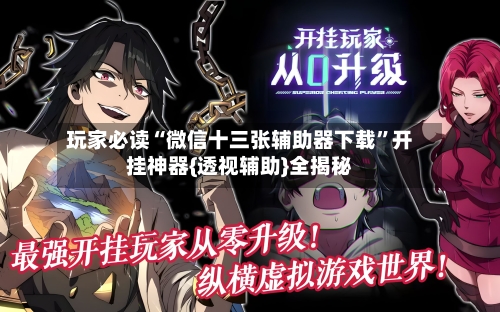 玩家必读“微信十三张辅助器下载”开挂神器{透视辅助}全揭秘-第2张图片