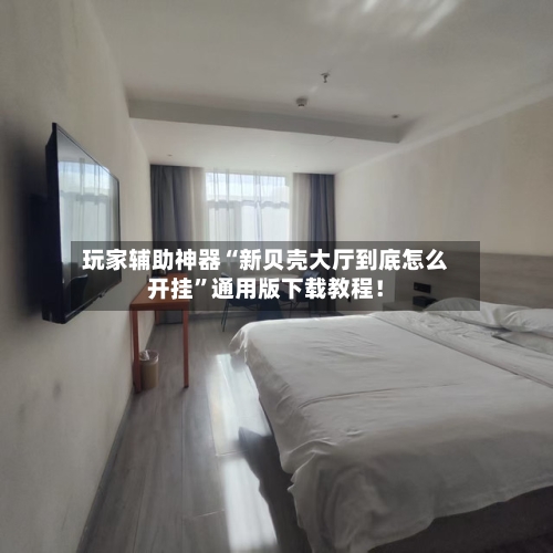 玩家辅助神器“新贝壳大厅到底怎么开挂”通用版下载教程！-第3张图片