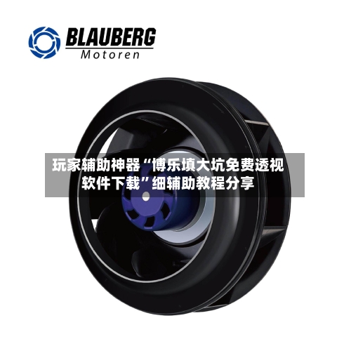 玩家辅助神器“博乐填大坑免费透视软件下载”细辅助教程分享-第2张图片