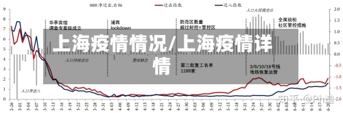 上海疫情情况/上海疫情详情-第2张图片