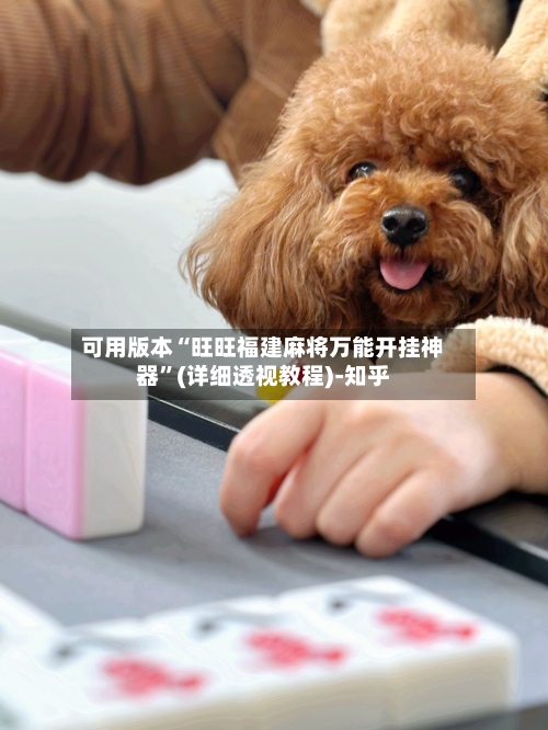 可用版本“旺旺福建麻将万能开挂神器”(详细透视教程)-知乎