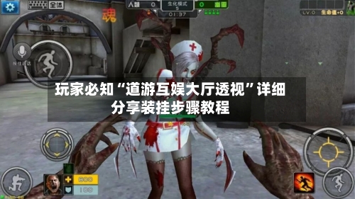 玩家必知“道游互娱大厅透视”详细分享装挂步骤教程-第2张图片
