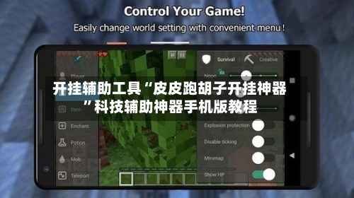 开挂辅助工具“皮皮跑胡子开挂神器”科技辅助神器手机版教程-第3张图片