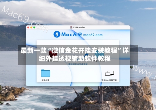 最新一款“微信金花开挂安装教程”详细外挂透视辅助软件教程-第2张图片