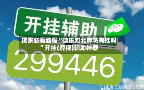 玩家必看教程“微乐河北麻将有挂吗	”开挂(透视)辅助神器-第2张图片
