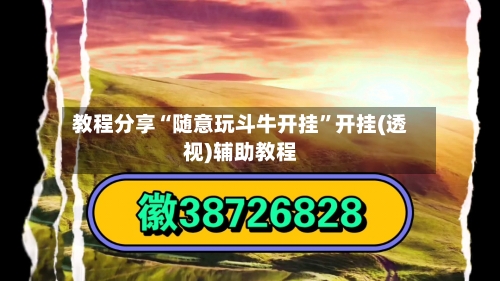 教程分享“随意玩斗牛开挂”开挂(透视)辅助教程-第3张图片