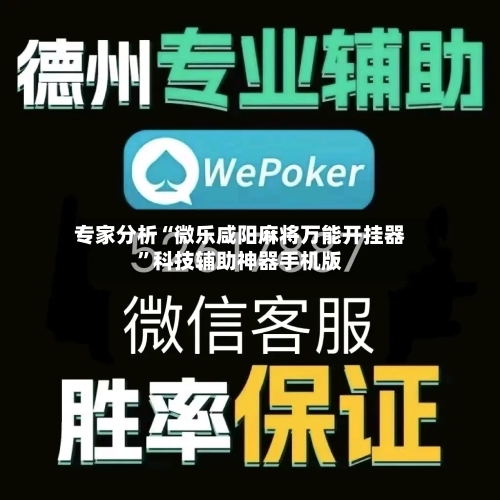 专家分析“微乐咸阳麻将万能开挂器”科技辅助神器手机版-第3张图片