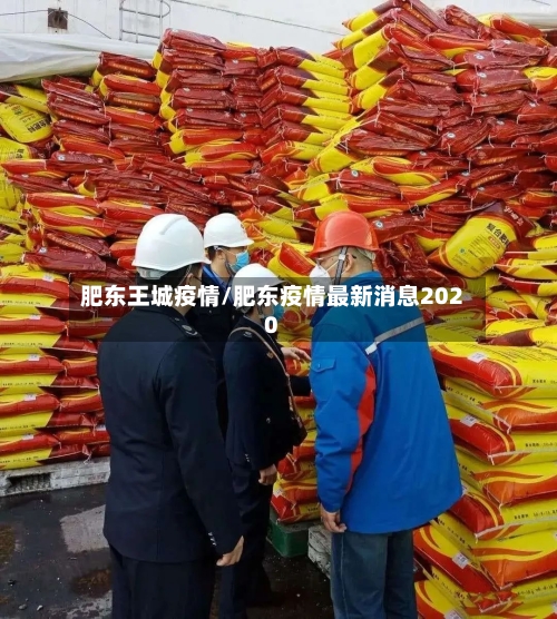 肥东王城疫情/肥东疫情最新消息2020-第2张图片
