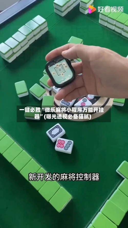 一键必胜“微乐麻将小程序万能开挂器”(曝光透视必备猫腻)-第2张图片
