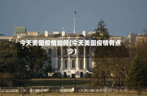今天美国疫情如何(今天美国疫情有点少)-第2张图片