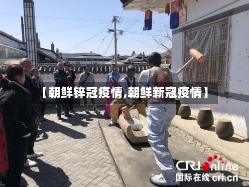 【朝鲜锌冠疫情,朝鲜新寇疫情】