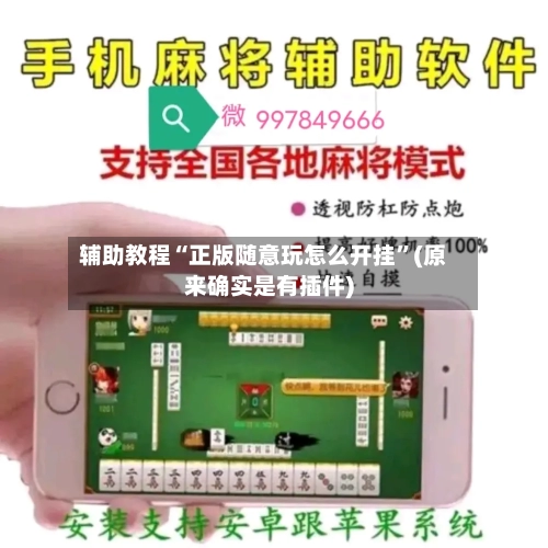 辅助教程“正版随意玩怎么开挂”(原来确实是有插件)