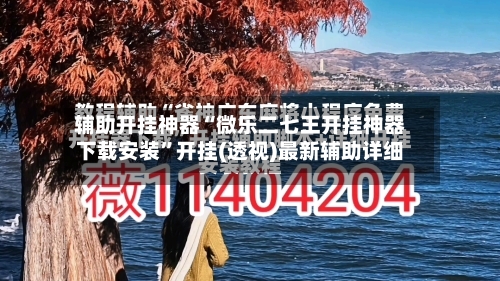 辅助开挂神器“微乐二七王开挂神器下载安装”开挂(透视)最新辅助详细-第2张图片