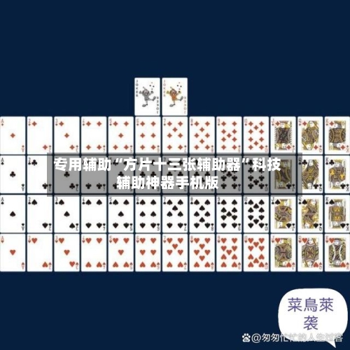 专用辅助“方片十三张辅助器”科技辅助神器手机版