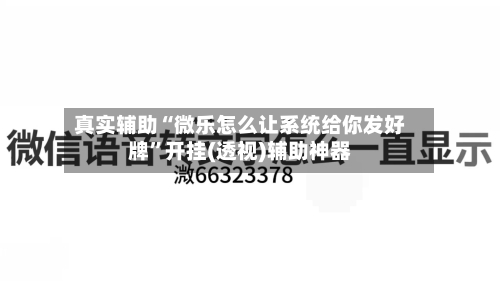 真实辅助“微乐怎么让系统给你发好牌	”开挂(透视)辅助神器-第2张图片