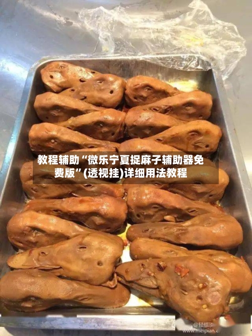 教程辅助“微乐宁夏捉麻子辅助器免费版”(透视挂)详细用法教程