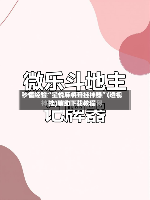 秒懂经验“星悦麻将开挂神器”(透视挂)辅助下载教程-第2张图片
