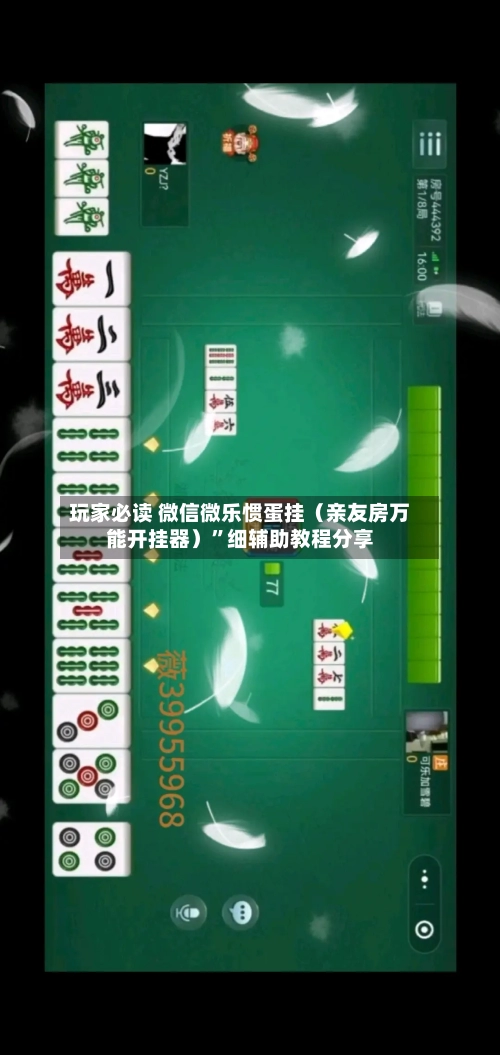 玩家必读 微信微乐惯蛋挂（亲友房万能开挂器）”细辅助教程分享-第3张图片