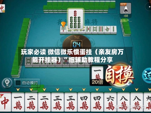 玩家必读 微信微乐惯蛋挂(亲友房万能开挂器)”细辅助教程分享