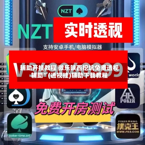 辅助开挂教程 微乐陕西挖坑免费透视辅助”(透视挂)辅助下载教程-第2张图片
