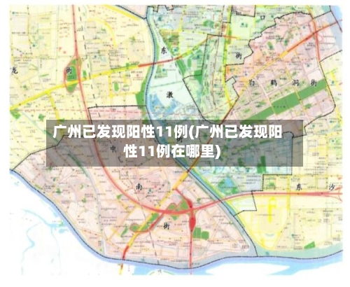 广州已发现阳性11例(广州已发现阳性11例在哪里)-第3张图片