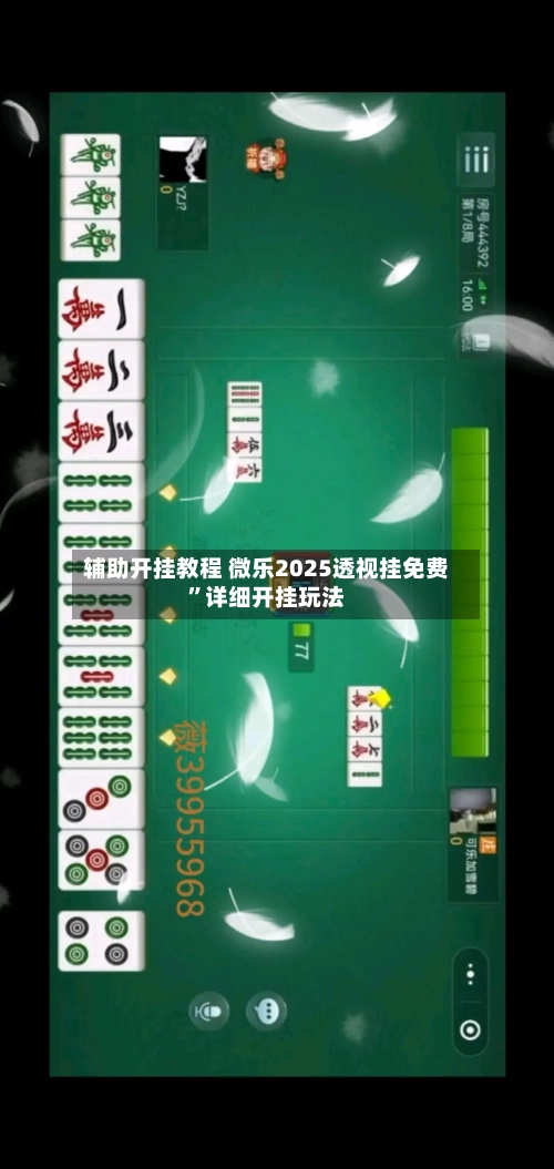 辅助开挂教程 微乐2025透视挂免费”详细开挂玩法