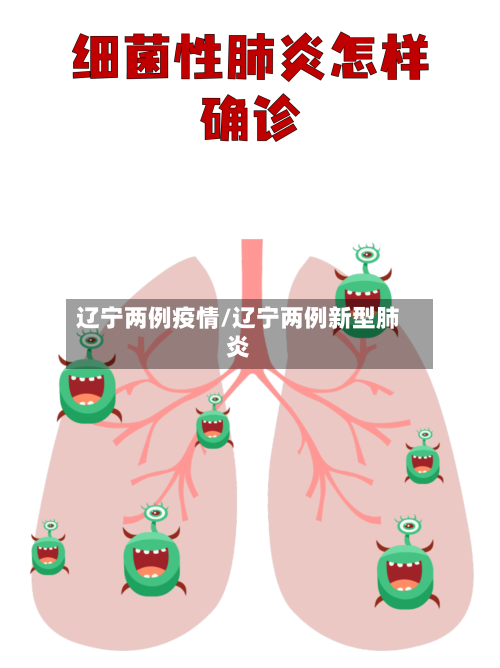 辽宁两例疫情/辽宁两例新型肺炎